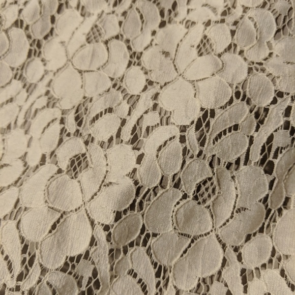 NWT Apt 9 lined lace skirt - Picture 2 of 4